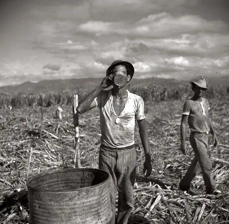 Puerto Rican sugar plantation history - representing cultural heritage and economic history of Puerto Rico